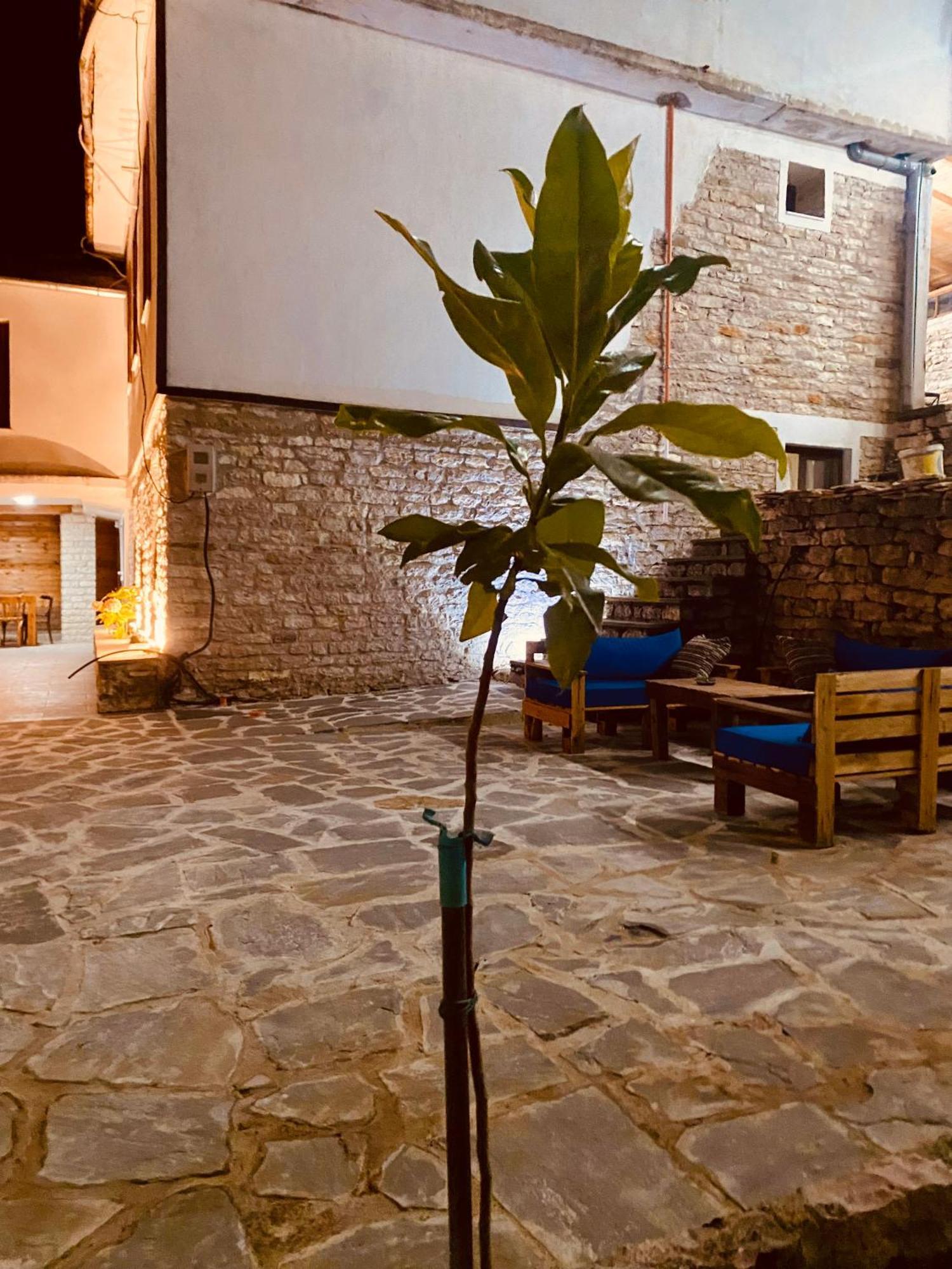 Vila Eri Gjirokastër Екстериор снимка